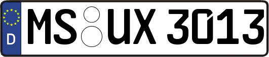 MS-UX3013
