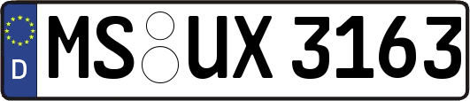 MS-UX3163