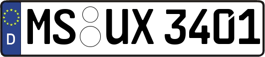 MS-UX3401