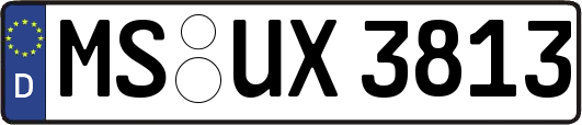MS-UX3813