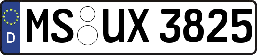 MS-UX3825