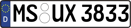 MS-UX3833