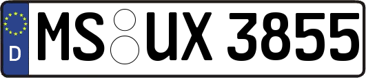 MS-UX3855