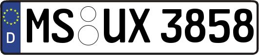 MS-UX3858