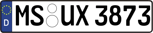 MS-UX3873