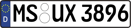 MS-UX3896