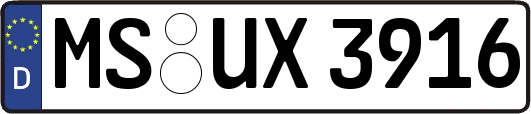 MS-UX3916