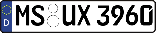 MS-UX3960