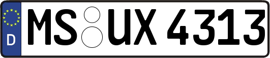 MS-UX4313