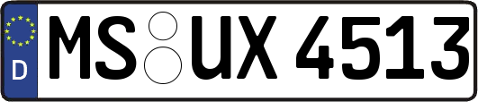 MS-UX4513