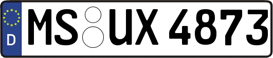 MS-UX4873