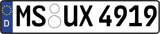 MS-UX4919