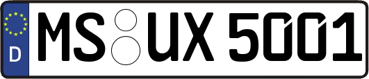 MS-UX5001