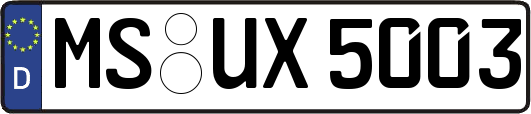 MS-UX5003