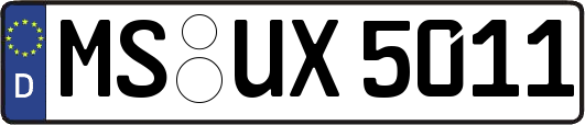 MS-UX5011