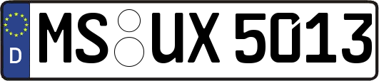 MS-UX5013