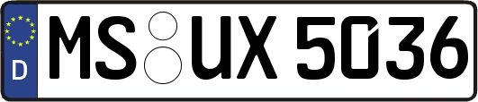 MS-UX5036