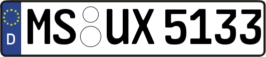 MS-UX5133