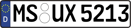MS-UX5213