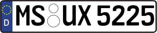MS-UX5225