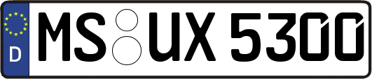 MS-UX5300