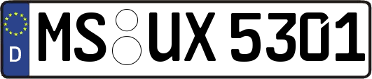 MS-UX5301