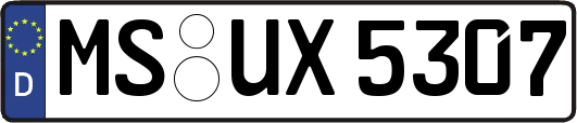 MS-UX5307