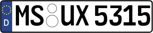 MS-UX5315