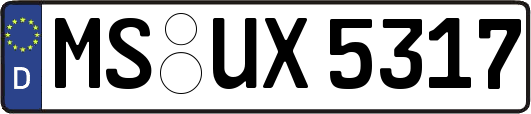 MS-UX5317