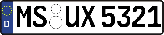MS-UX5321