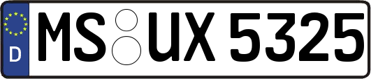 MS-UX5325