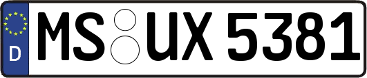 MS-UX5381