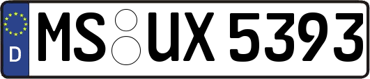MS-UX5393
