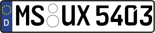MS-UX5403