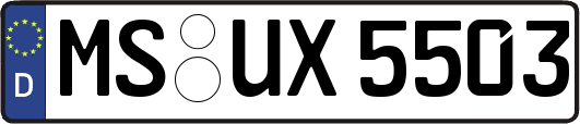 MS-UX5503