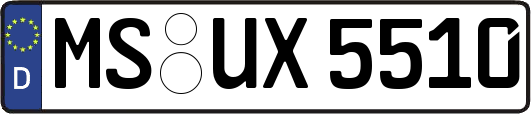 MS-UX5510