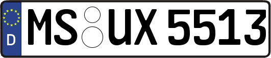 MS-UX5513