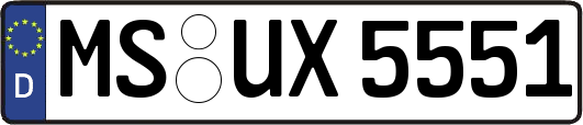MS-UX5551