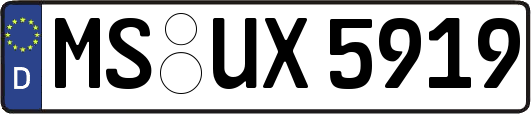 MS-UX5919