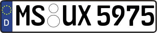 MS-UX5975