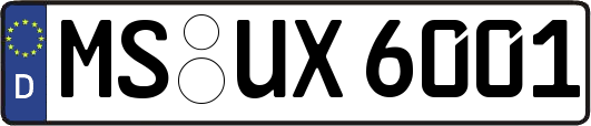 MS-UX6001