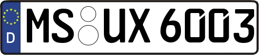 MS-UX6003