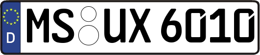 MS-UX6010