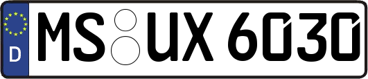 MS-UX6030