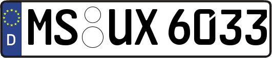 MS-UX6033