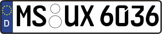 MS-UX6036