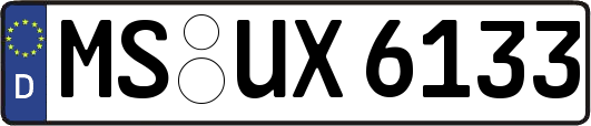 MS-UX6133