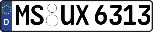 MS-UX6313