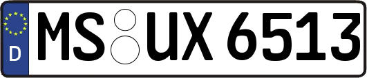 MS-UX6513