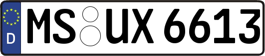 MS-UX6613